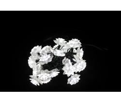 LED-PL-S02-30-3M-240V Светодиодная гирлянда 3м 240V белые LED/насадка Хризантема 5,4см. Neo-Neon