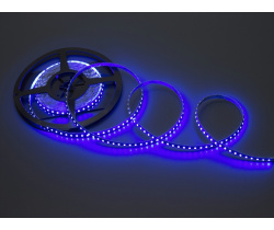 NEW FLEX-SS5600B-B 5M Гибкая LED полоса,12V, белая основа (Синяя)