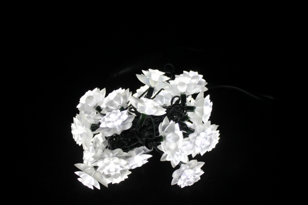 LED-PL-S02-30-3M-240V Светодиодная гирлянда 3м 240V белые LED/насадка Хризантема 5,4см. Neo-Neon фото 1