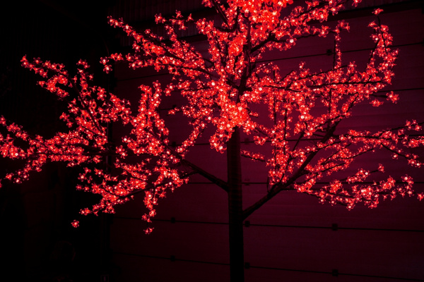 CBL-3.6-2688 Red LED вишня H:3,6m D3,0м красное фото 2
