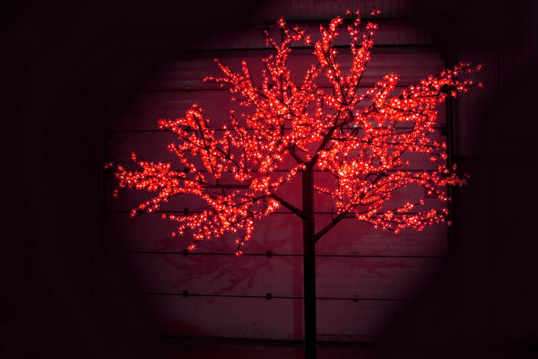 CBL-3.6-2688 Red LED вишня H:3,6m D3,0м красное фото 1